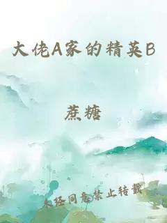 大佬A家的精英B