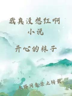 我真没想红啊 小说