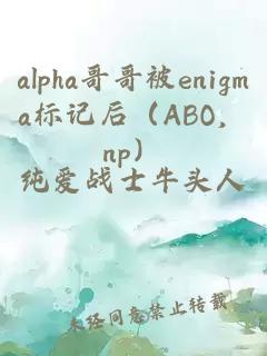 alpha哥哥被enigma标记后（ABO，np）