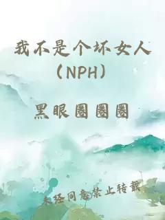 我不是个坏女人（NPH）