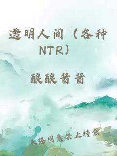 透明人间（各种NTR）