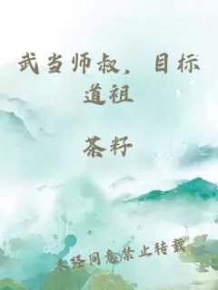 武当师叔，目标道祖