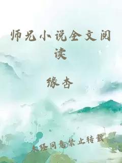 师兄小说全文阅读