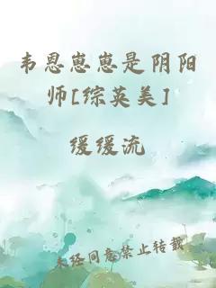 韦恩崽崽是阴阳师[综英美]