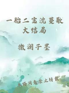 一胎二宝沈蔓歌大结局