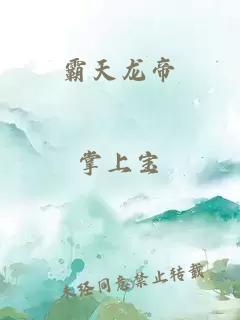 霸天龙帝