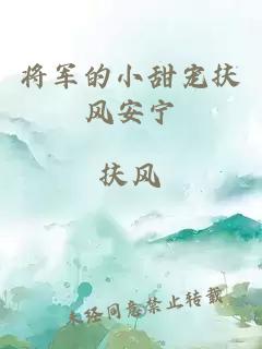 将军的小甜宠扶风安宁