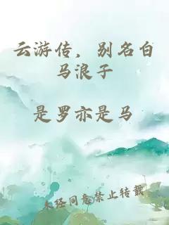 云游传，别名白马浪子